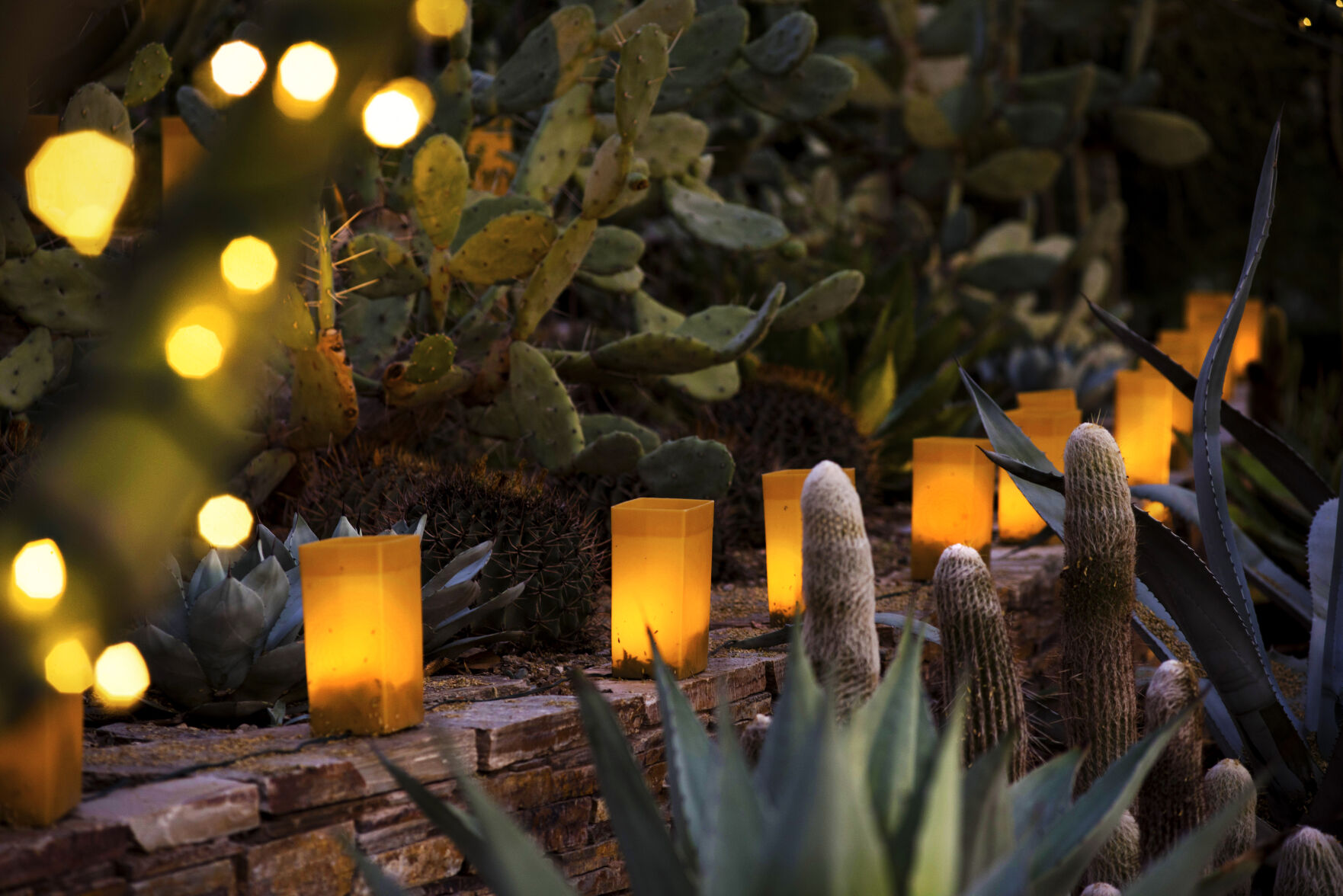 DesertBotanicalGardens_LaPosada2019-_017-copy.jpg
